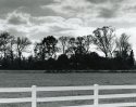 Civil War Hospital Area
