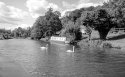 River Lee 02