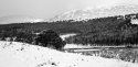 Cairngorms winter - 3