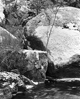 North West Scotland summer - 5