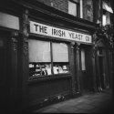 Irish Yeast Co.