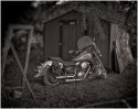 Relic