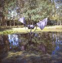 Colour Test with repaired Rollei E Xenotar 03