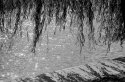 'Gift' ORWO Tests 01