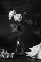 Roses 9