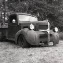 Dodge