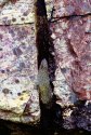 Old rock formation - 1