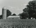 American Farm