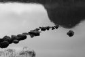 Loch detail - 1