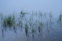 Loch detail - 2