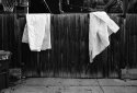 Two Sheets