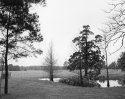 Pond