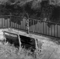 Neglected Bench in a Neglected Park