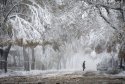 The heaviest snow