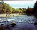 Bridge On Pemigewasset