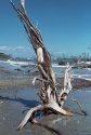 Hunting Island 9-19 1