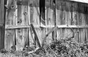 Old boards