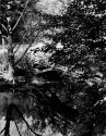 Bridge Reflection-2