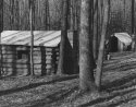 Winter Quarters-1