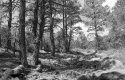 K400 SS018_038