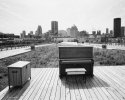 The Piano
