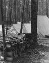Woodpile