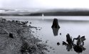 Sailboat Morning