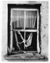 Window to the past