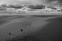 Rainy Dunes