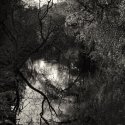 Deep Impression 7as