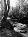 Flow gently