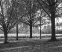 Sharon Woods 1