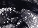 Scotland - coastal rock formations