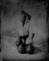 Wet plate still life