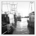Fishing vessels in backlight