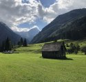 Alpine Pasture