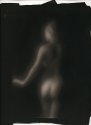 Eva, Posterior, palladium.