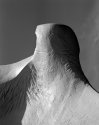 Norfolk Sculpture - 1