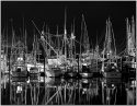 Newport Fleet, Oregon