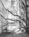 Old House And Tree Shadow