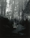 Sonatas IV (Triptych) - 2