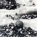 Suffolk coast close-ups - Oct 19 - 4