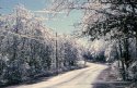 ice storm 73