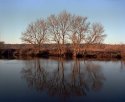 A February Afternoon - 2
