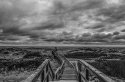 PRNWR  Boardwalk II
