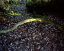 A February Afternoon - 4