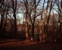 A February Afternoon - 5