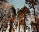 A February Afternoon - 6