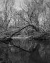 river 3
