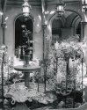 Winter Garden